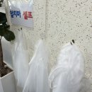 태백육개장