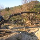 지리산농장 이미지