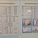 아이가좋아하는치과의원 이미지