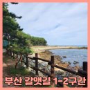 부산 갈맷길 1코스 2구간 산책 후기