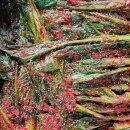 갓김치 3kg 나눔 1분 이미지