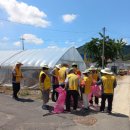 대치면 게이트볼장 이미지