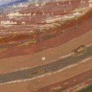 둠바둠바 | 통도사에 핀 전설의 꽃 '우담바라' 실물 후기! 3000년 만의 행운 잡고 오세요