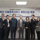 다우데이타