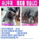 슈나