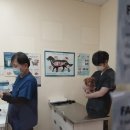 뉴욕동물병원 이미지