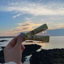 (주)조이셀 이미지