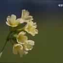 세광정신요양원 | 거동 힘드신 부모님 계시다면 처인구 추천 요양원 세광정신요양원 편안한 노후를 위한 선택