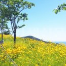 옥포대첩로(옥포2동) 이미지