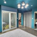 신도리-3 이미지