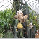 인천농장 이미지