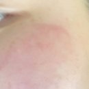 다연테크 | 2025-12(1)