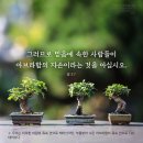 💚 ➕히브리서 6:13 – 6:20 약속에 신실하신 하나님이 우리 소망입니다 이미지