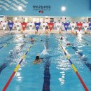 창녕군립수영장 이미지