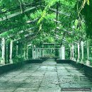 삼풍농장 이미지