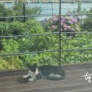 재영민박 이미지