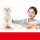 (주)바우와우코리아 이미지