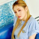 쏠 이미지