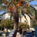 보산슈퍼 | [크로아티아 여행] 6일차 모스타르 마카르스카 하나투어 발칸3국 패키지