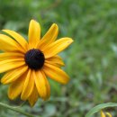 골안민박 이미지