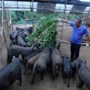 철제농장 이미지