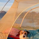 서이비인후과의원 이미지