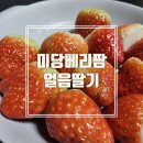 미당농장 이미지