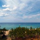 에이치에비뉴 강릉경포 이미지