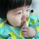 개안농장 네이버블로그