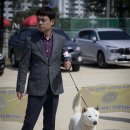 훈이애견 이미지