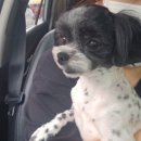 몽몽솔솔 이미지