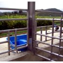 대산가축 이미지