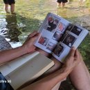 동학사 계곡 물놀이 후기｜주차, 수심, 아이와 다녀온 세종 근교 계곡