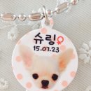 아르릉 이미지