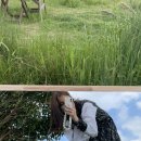 카페사사