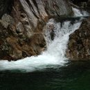 중원-72 Daum카페
