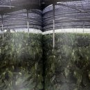 이종국농장 이미지