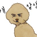 연안가방