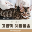 위례 별 동물의료센터 이미지