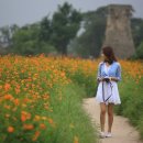 비디오플러스 이미지