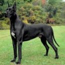 고대1121 이미지