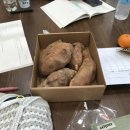 도대보건진료소 이미지