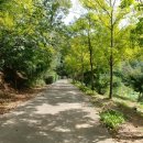 반월1교 이미지