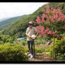 다산흑염소농장 이미지