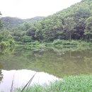 옹달샘 - 오산시 성호대로55번길 36 | 옹달샘