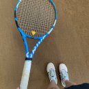 보성테니스장 이미지