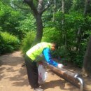 청계산 등산로 이미지