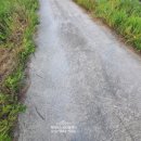 주만농장 이미지