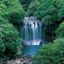 천제연폭포 이미지