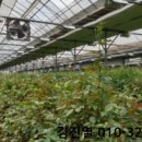 신원동-2 이미지